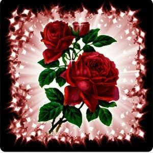 Meet your Posher, Eva